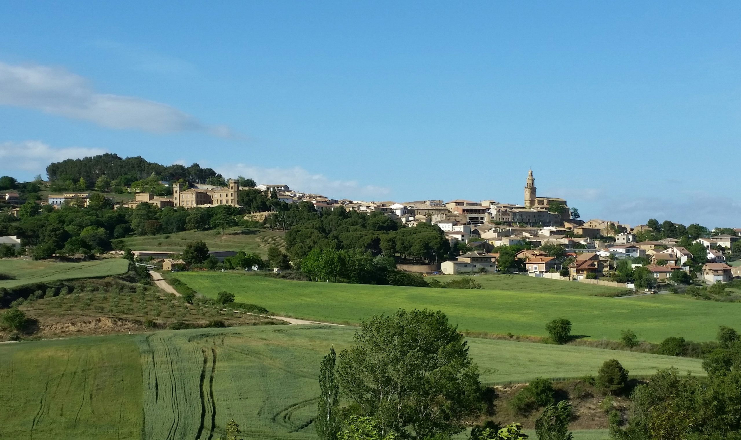 DICASTILLO-vista-panoramica-scaled